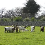 Masseria Casedde Vecchie
