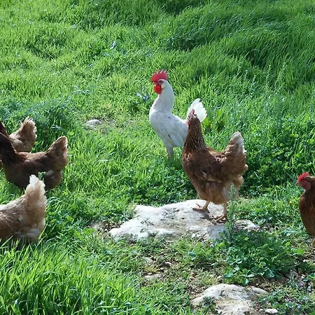 Séjour à la ferme Masseria Casedde Vecchie *