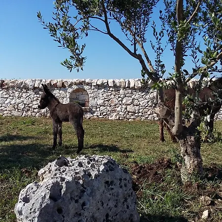 Masseria Casedde Vecchie