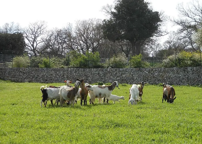 Masseria Casedde Vecchie