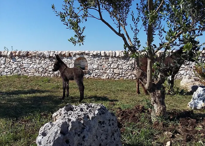 Masseria Casedde Vecchie
